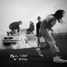The Scratch : Pull Like a Dog