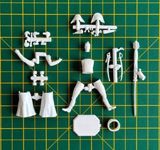 HISTOREX 54mm Guard Foot