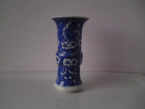 19th chinese prunus blue - 19th,