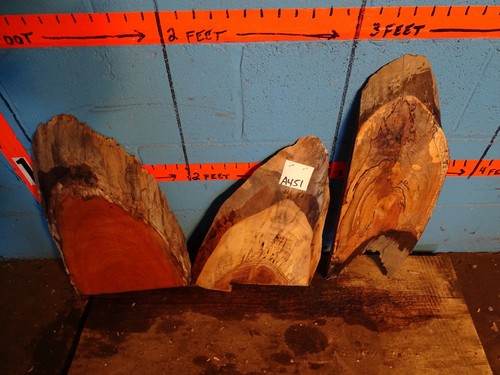 A451 live edge slabs - live,