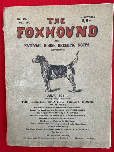 Foxhound hunting rare horse - foxhound,