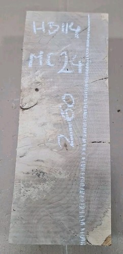 Spalted old hornbeam blank - spalted,