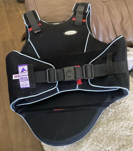 Champion level body - champion,