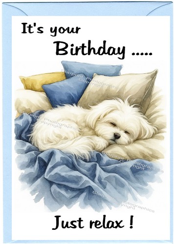 Maltese dog birthday - (4"x, 6")