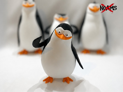 Private madagascar penguin - madagascar,