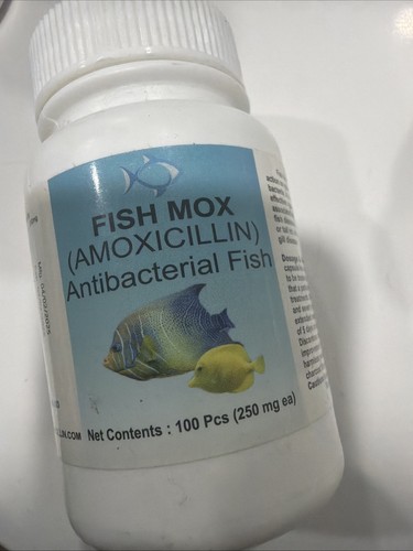 For fish aquariums - fish, &