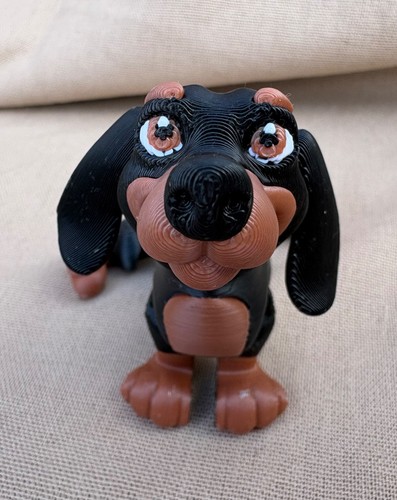 Dachshund sausage dog - sausage,