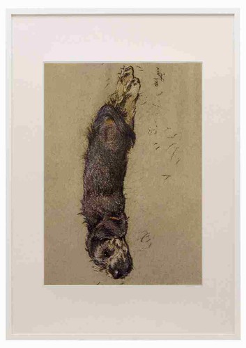 Aldin cecil dozen dogs - dozen, so