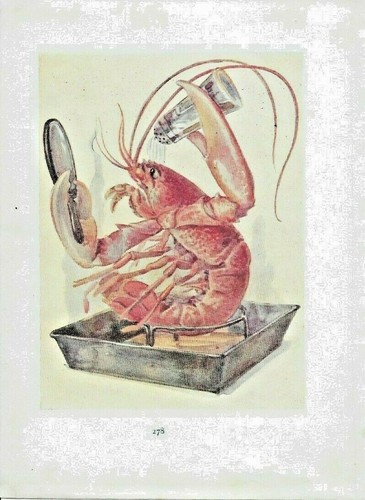 Alice wonderland circa - alice,