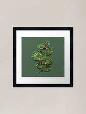 Green Venomous Snake Framed