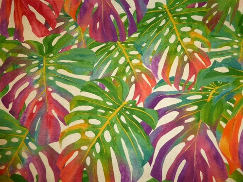 Tropical jungle palm - jungle,