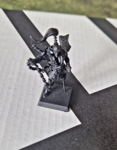 Master for dark elf army - master,