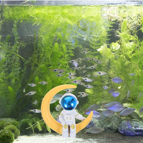 Pcs fish tank - pcs,
