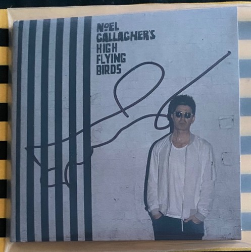 Noel gallagher high flying - noel,