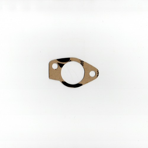 Intake manifold gasket - intake,