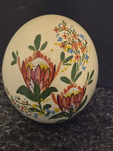Ostrich egg hand painted - ostrich,
