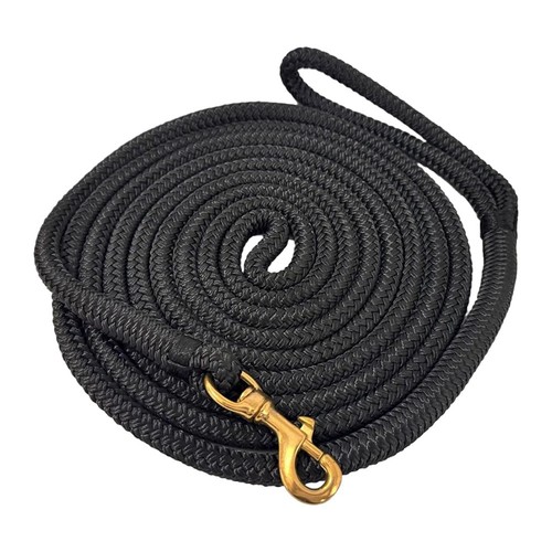 Horse lunge line - horse,