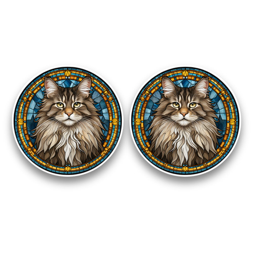 Small maine coon cat kitten - small,