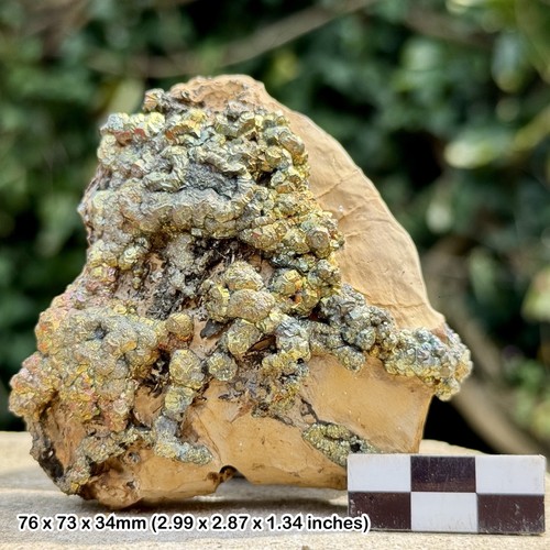 Rare rainbow pyrite supat mine - rainbow,
