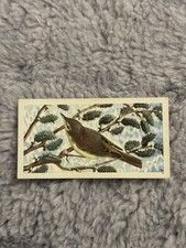 Brooke Bond Bird Portraits & Co # 12 Willow Warbler