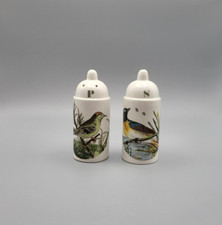 Rare Portmeirion Birds Of Britain Salt And Pepper Pots MINT