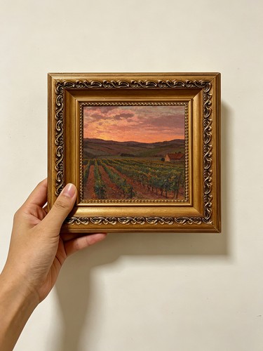 Vineyard sunset field custom - vineyard,