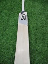 Kookaburra Ghost English