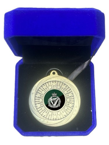Royal irish regiment - irish, award