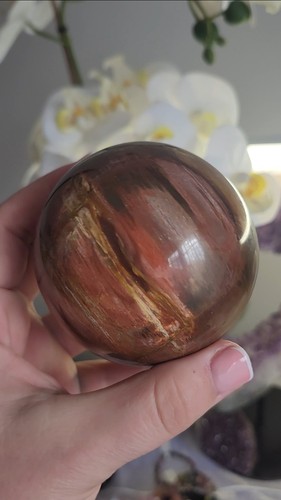 Fossil petrified wood sphere - petrified,