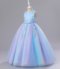 New Princess Dress Party