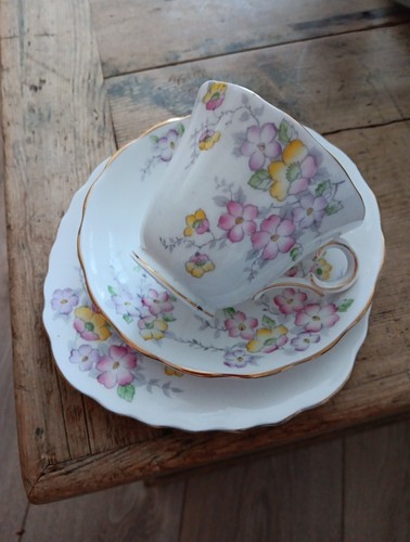 Colclough china trio - colclough, 6593