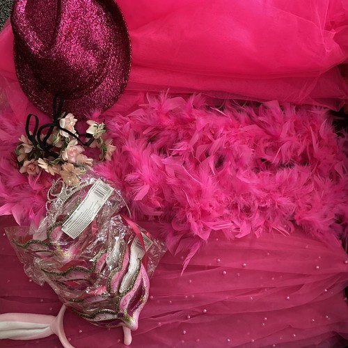 Pink bundle fancy dress hen - pink,