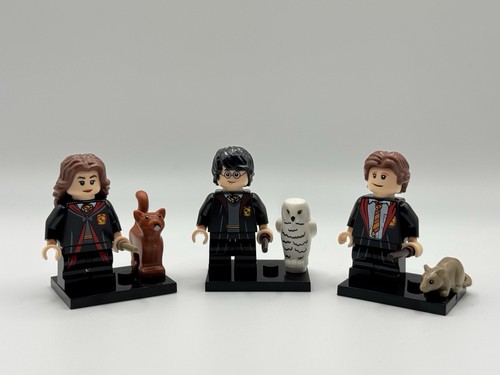Harry potter hermione - harry,