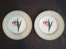 Set of 2 Royal Horticultural