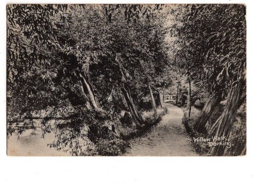 Dorking willow walk surrey - dorking, m
