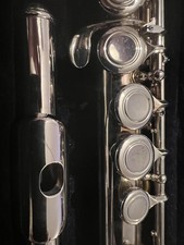 Flute - beginners flute vivace