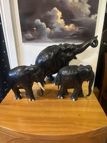 African large heavy - large, ebony