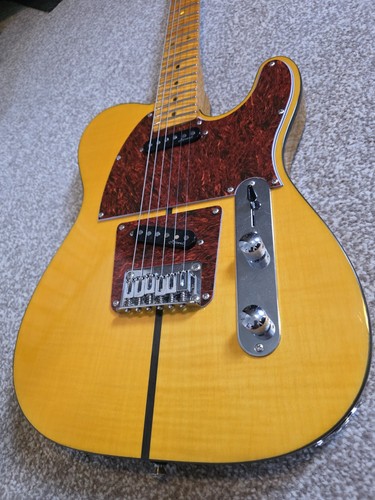 Prince tribute telecaster - tribute,
