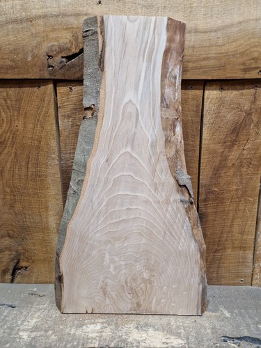 Live edge beech slab - slab, (090)