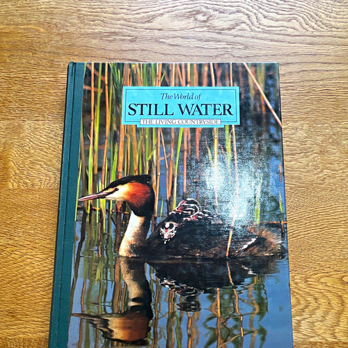The world still water - world,