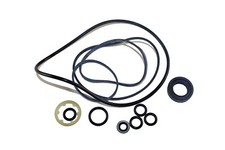 David Brown Steering Pump Seal