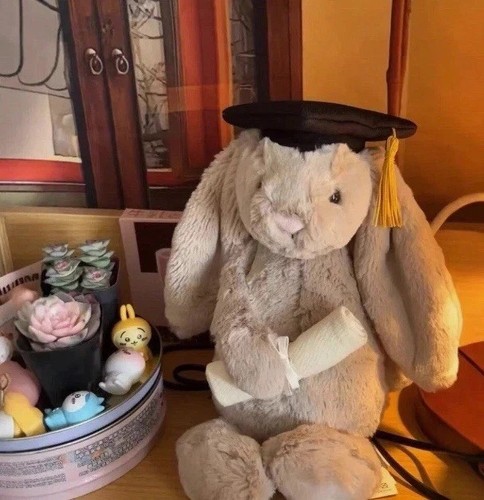 Jellycat bashful bunny - jellycat,