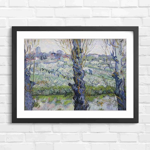 Blooming orchard trees - orchard, and