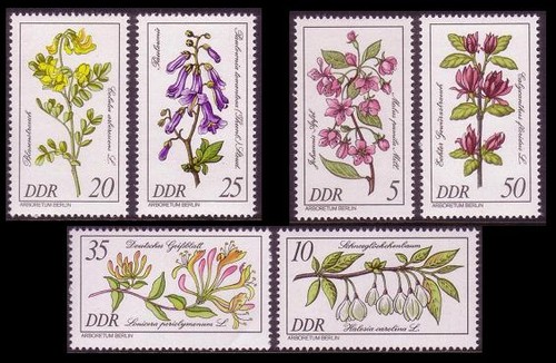 Gdr flowers 1981 - flowers, 6v