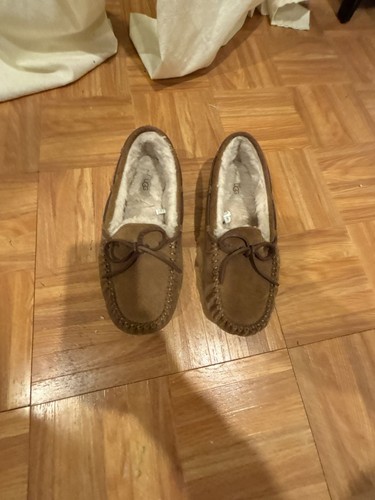 Ugg dakota chestnut suede - ugg,
