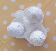 Wedgewood/Coalport Countryware cruet set. Nice used condition.