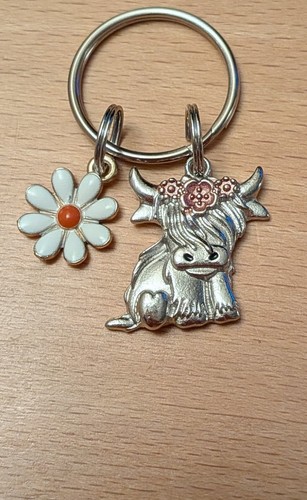 Beautiful highland cow - beautiful, &
