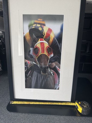 Framed horse racing photograph - framed,
