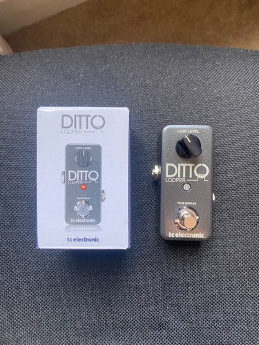 Electronic ditto guitar - tc,