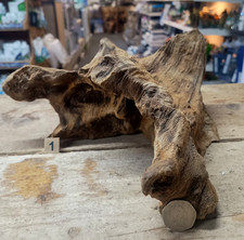 Derwen Oak Bogwood 21-42cm